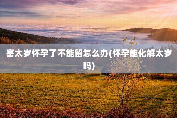 害太岁怀孕了不能留怎么办(怀孕能化解太岁吗)