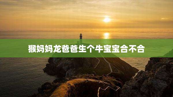 猴妈妈龙爸爸生个牛宝宝合不合