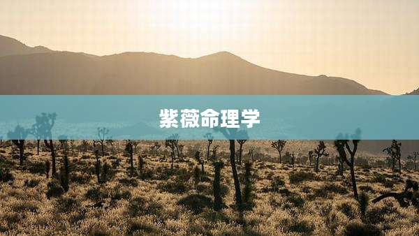 紫薇命理学