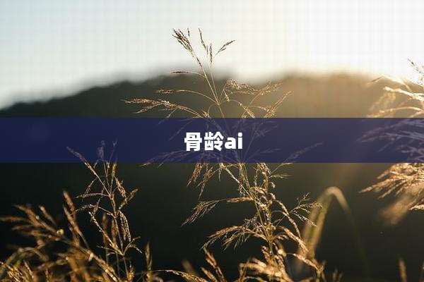 骨龄ai