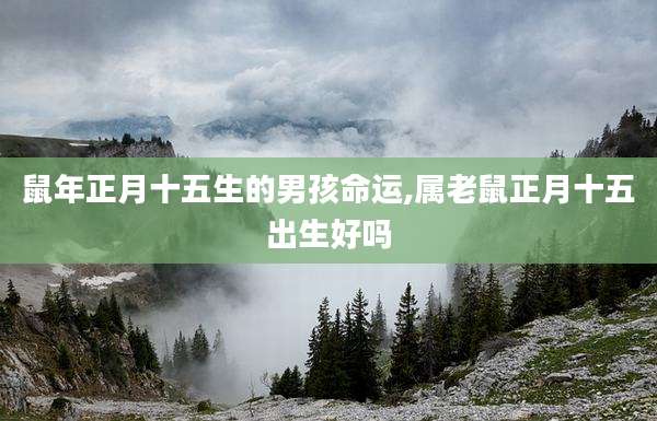 鼠年正月十五生的男孩命运,属老鼠正月十五出生好吗