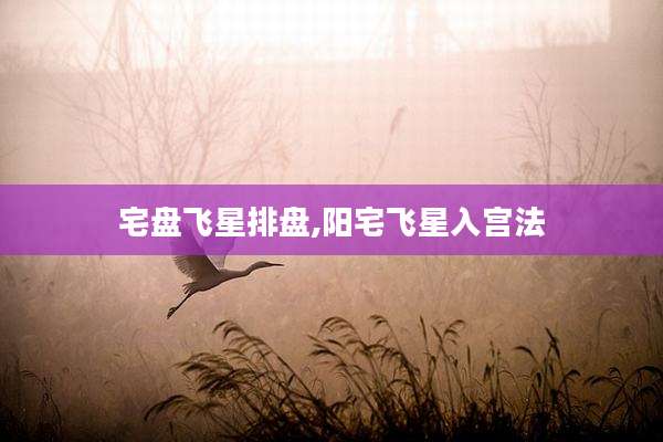 宅盘飞星排盘,阳宅飞星入宫法