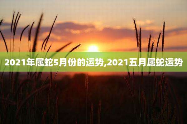 2021年属蛇5月份的运势,2021五月属蛇运势