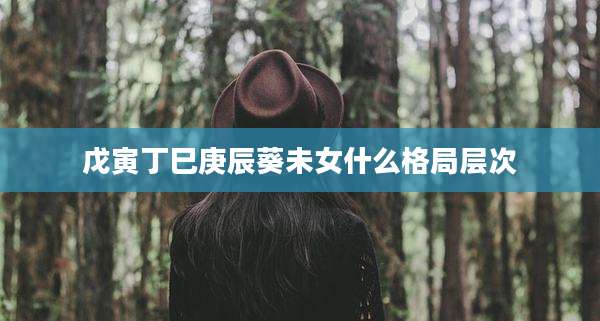 戊寅丁巳庚辰葵未女什么格局层次