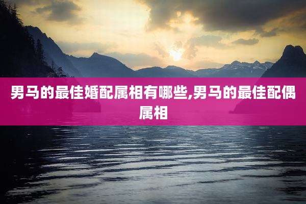 男马的最佳婚配属相有哪些,男马的最佳配偶属相