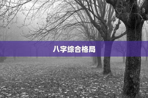 八字综合格局