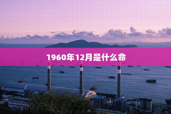 1960年12月是什么命