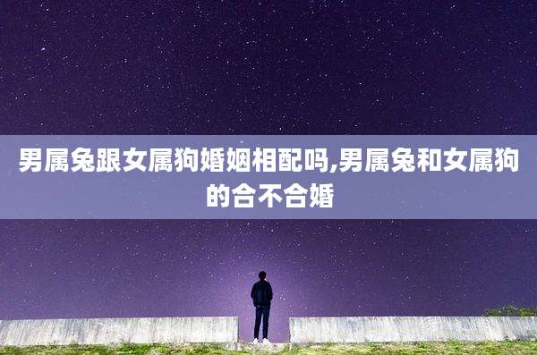 男属兔跟女属狗婚姻相配吗,男属兔和女属狗的合不合婚