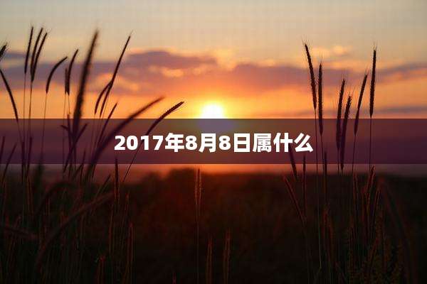 2017年8月8日属什么