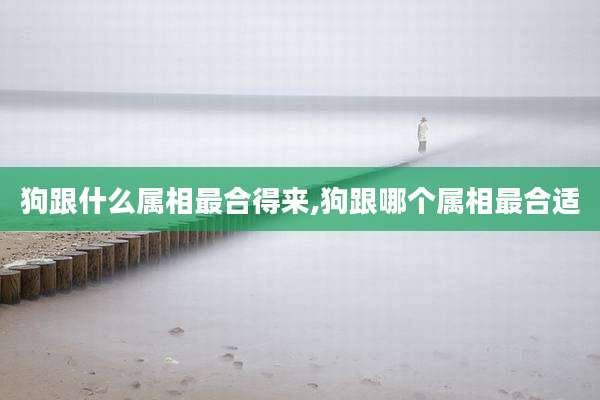 狗跟什么属相最合得来,狗跟哪个属相最合适