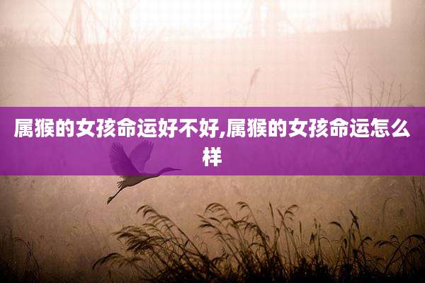 属猴的女孩命运好不好,属猴的女孩命运怎么样