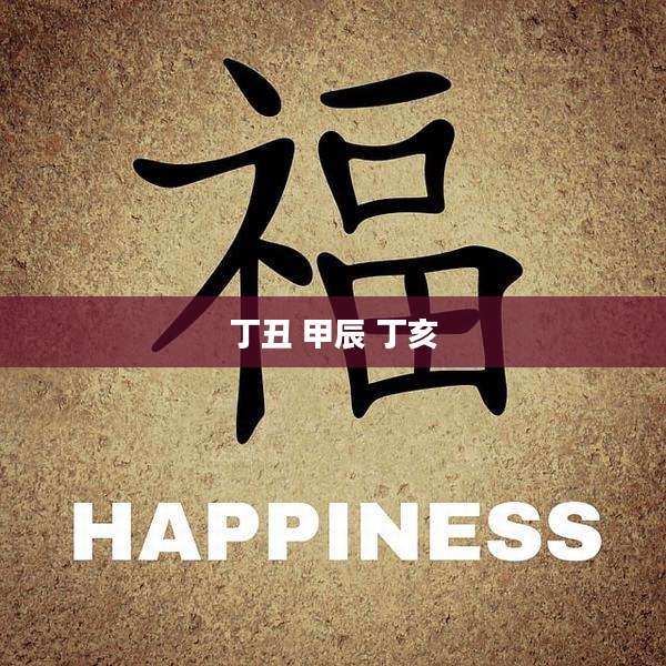 丁丑 甲辰 丁亥