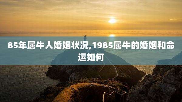 85年属牛人婚姻状况,1985属牛的婚姻和命运如何