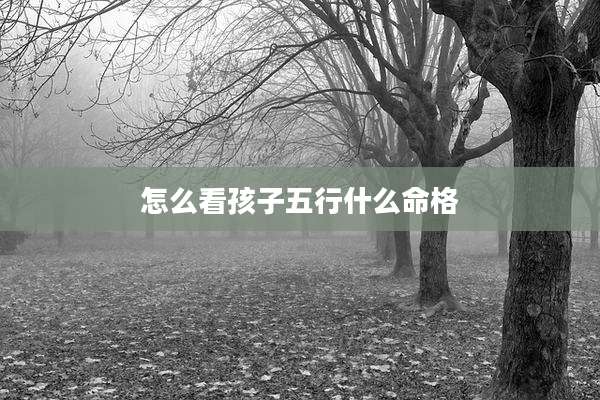 怎么看孩子五行什么命格