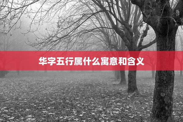 华字五行属什么寓意和含义