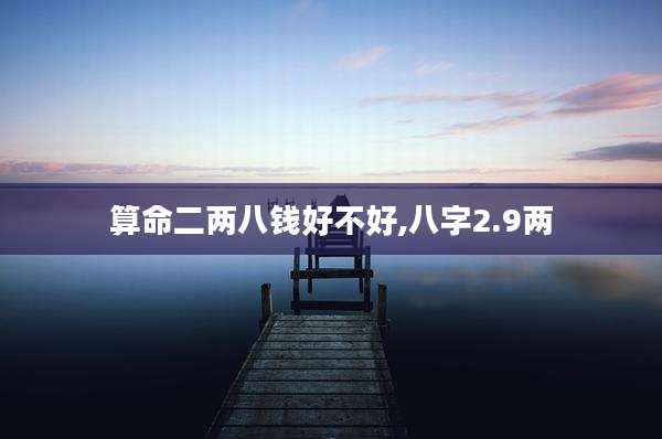 算命二两八钱好不好,八字2.9两