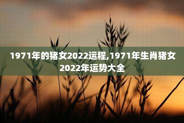 1971年的猪女2022运程,1971年生肖猪女2022年运势大全