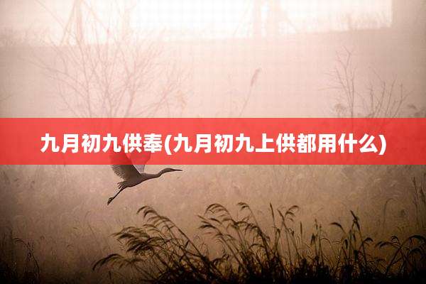 九月初九供奉(九月初九上供都用什么)