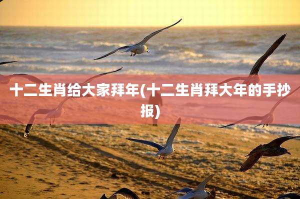 十二生肖给大家拜年(十二生肖拜大年的手抄报)