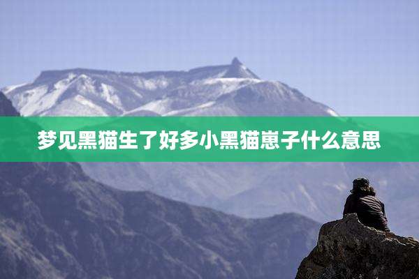 梦见黑猫生了好多小黑猫崽子什么意思