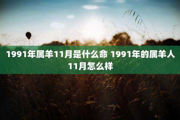 1991年属羊11月是什么命 1991年的属羊人11月怎么样