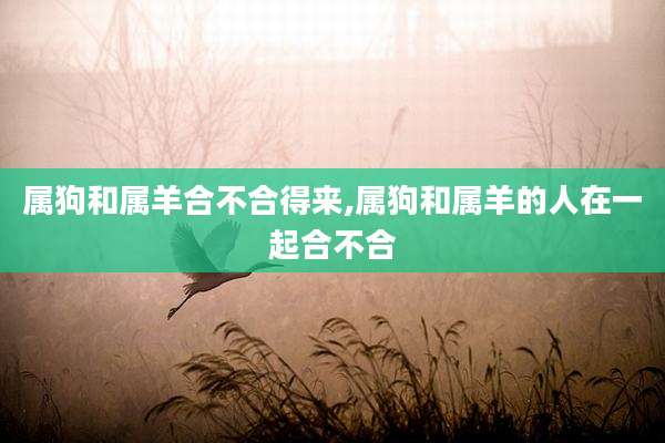 属狗和属羊合不合得来,属狗和属羊的人在一起合不合