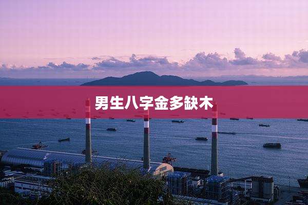 男生八字金多缺木