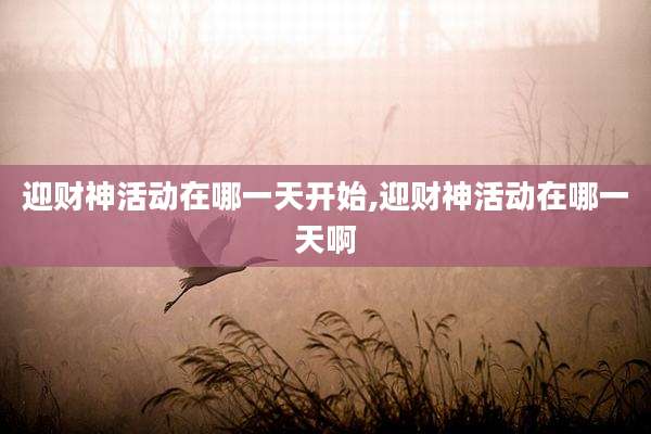 迎财神活动在哪一天开始,迎财神活动在哪一天啊