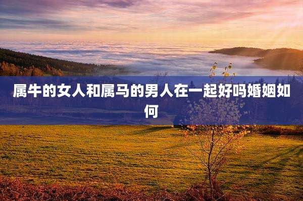 属牛的女人和属马的男人在一起好吗婚姻如何