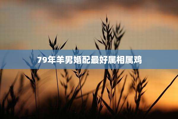 79年羊男婚配最好属相属鸡