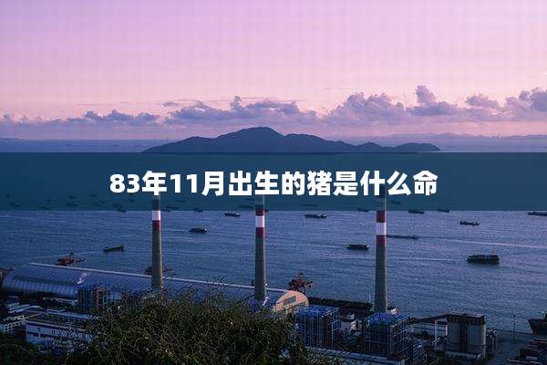 83年11月出生的猪是什么命
