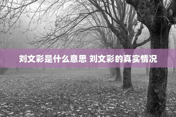 刘文彩是什么意思 刘文彩的真实情况