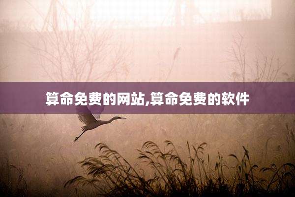 算命免费的网站,算命免费的软件