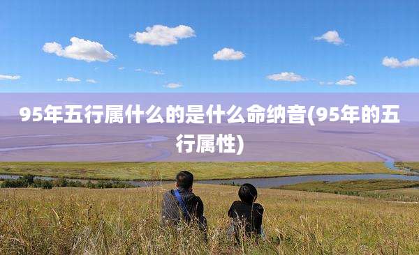 95年五行属什么的是什么命纳音(95年的五行属性)