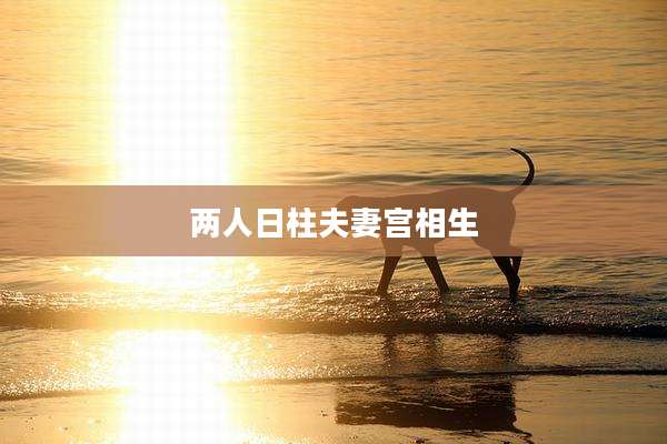 两人日柱夫妻宫相生
