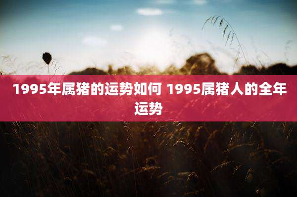 1995年属猪的运势如何 1995属猪人的全年运势