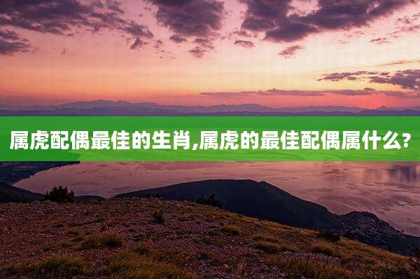 属虎配偶最佳的生肖,属虎的最佳配偶属什么?