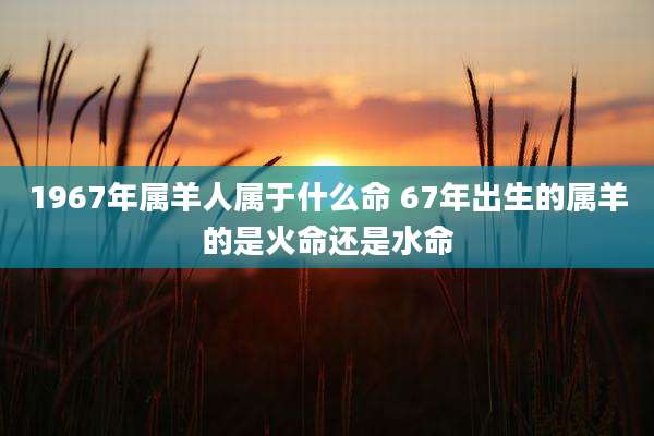 1967年属羊人属于什么命 67年出生的属羊的是火命还是水命