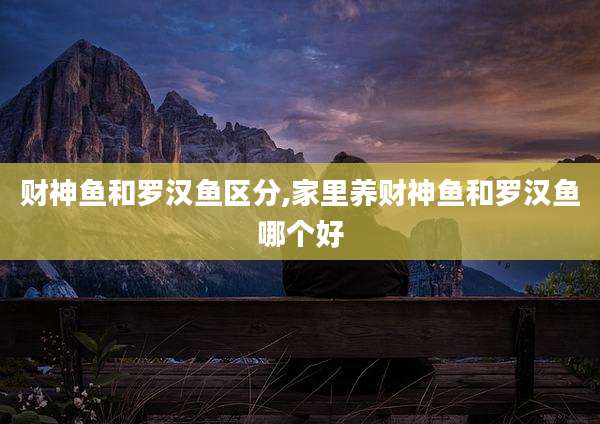 财神鱼和罗汉鱼区分,家里养财神鱼和罗汉鱼哪个好