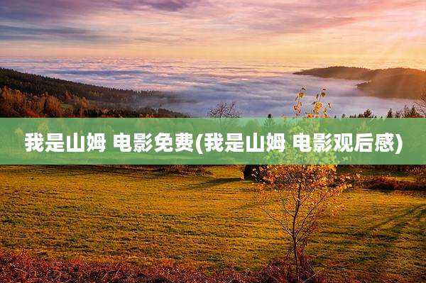 我是山姆 电影免费(我是山姆 电影观后感)