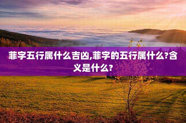 菲字五行属什么吉凶,菲字的五行属什么?含义是什么?