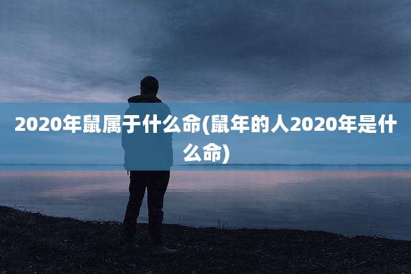 2020年鼠属于什么命(鼠年的人2020年是什么命)
