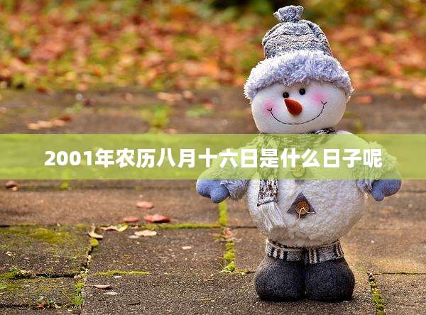 2001年农历八月十六日是什么日子呢