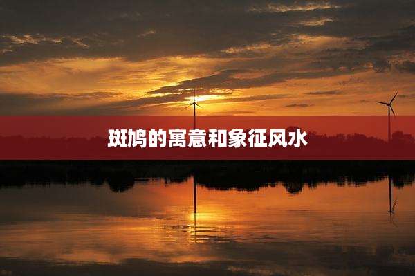 斑鸠的寓意和象征风水