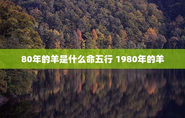 80年的羊是什么命五行 1980年的羊