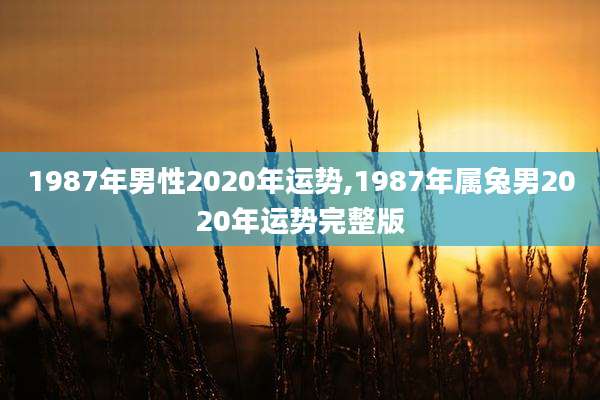 1987年男性2020年运势,1987年属兔男2020年运势完整版