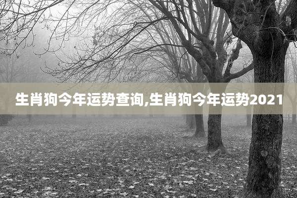 生肖狗今年运势查询,生肖狗今年运势2021
