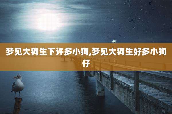 梦见大狗生下许多小狗,梦见大狗生好多小狗仔