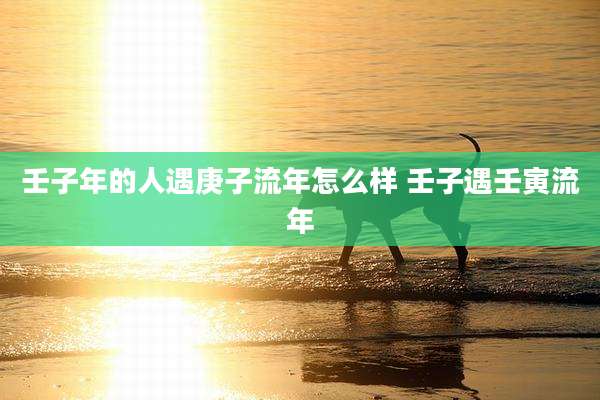 壬子年的人遇庚子流年怎么样 壬子遇壬寅流年