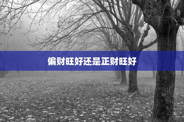 偏财旺好还是正财旺好